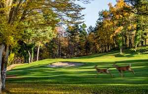 Golf de Rochefort - Départs Meilleure balle